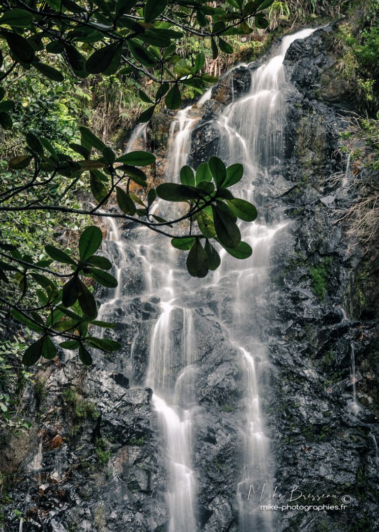 Activité, Belize, Cascade, Chute d'eau, Nature, Randonnée, Sport