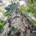 Costa Rica, Nature