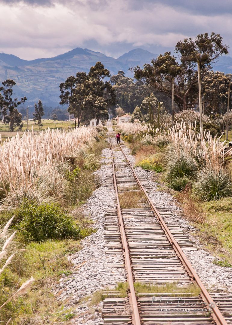Crucero, Equateur, Nicaragua, Paysages, Train, flore, landscape, vue