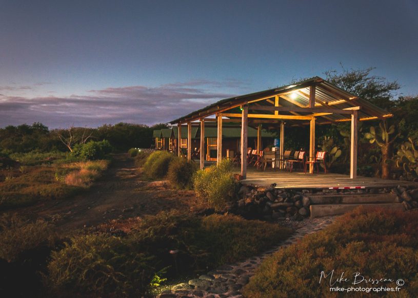 Déco, Décoration, Décoration d'intérieur, Galápagos, Home Staging, Isla Floreana, Lodge, Tableau photo