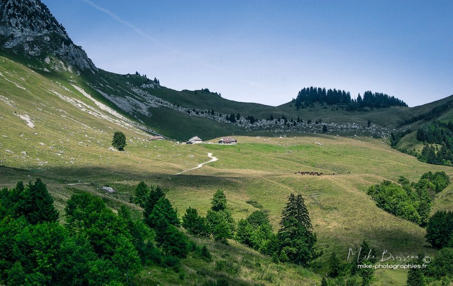 Activité, La motte Servolex, Montagne, Paysages, Randonnée, Savoie, Sport, flore, landscape, vue