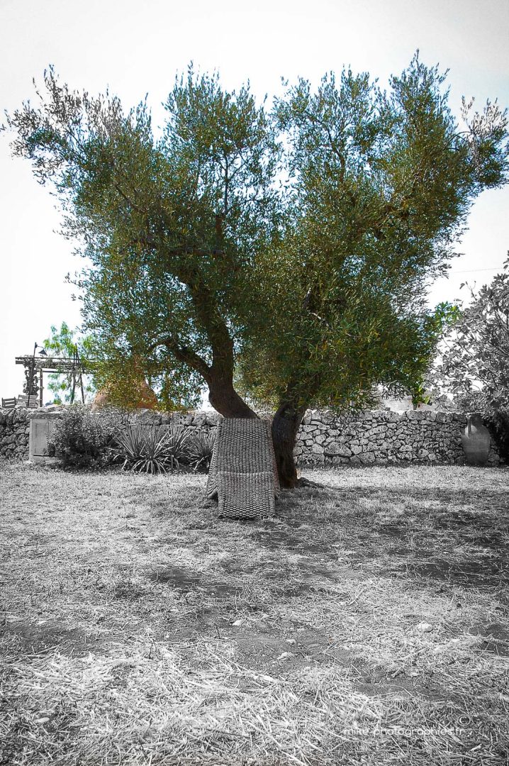 Humains, Italie, Les Pouilles, Lifestyle, personne, style de vie