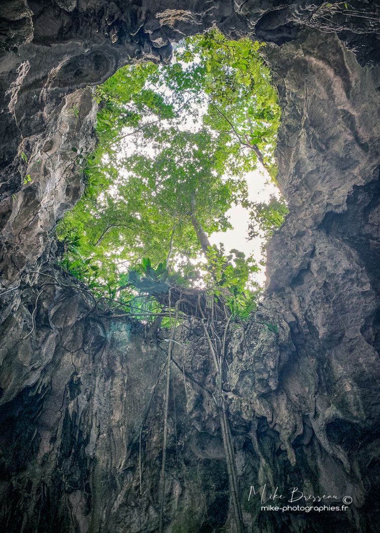 Los Haïtises, Nature, République Dominicaine