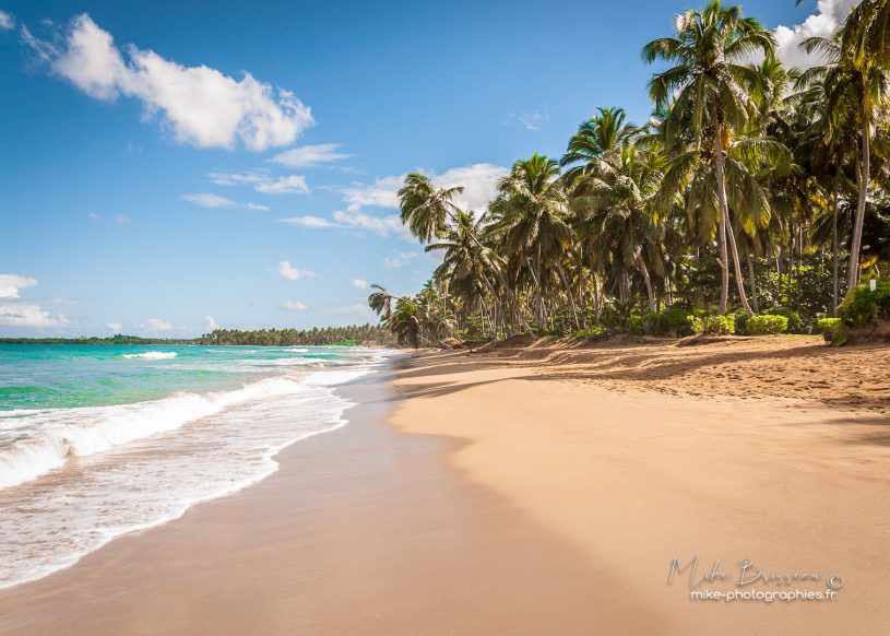 Nicaragua, Paysages, Plage, Playa Coson, République Dominicaine, flore, landscape, vue