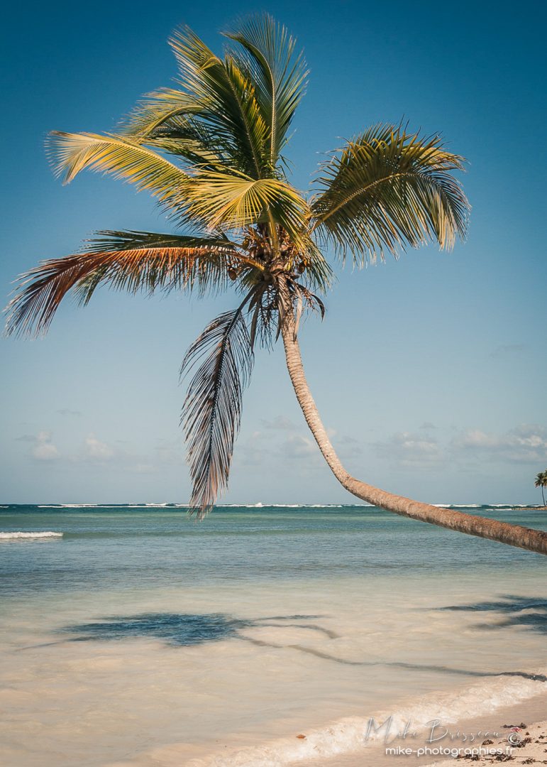 Plage, Playa Las Galeras, République Dominicaine