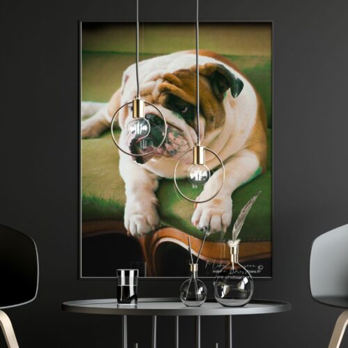 Déco, Décoration, Décoration d'intérieur, Home Staging, Salon, Tableau photo