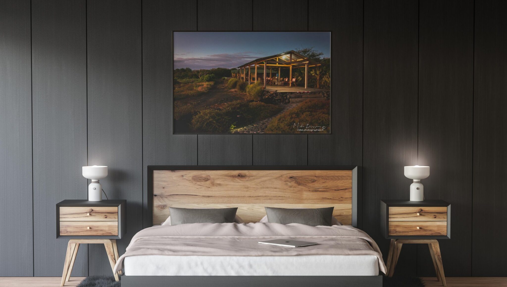 Chambre_sombre, Déco, Décoration, Décoration d'intérieur, Home Staging, Tableau photo