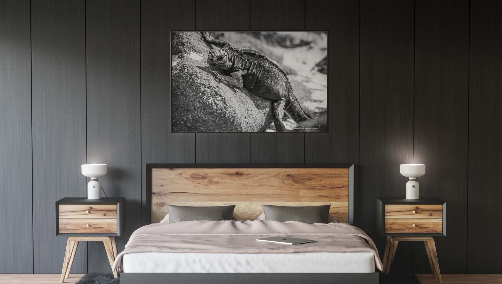 Chambre_sombre, Déco, Décoration, Décoration d'intérieur, Home Staging, Tableau photo
