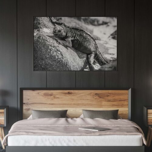 Chambre_sombre, Déco, Décoration, Décoration d'intérieur, Home Staging, Tableau photo