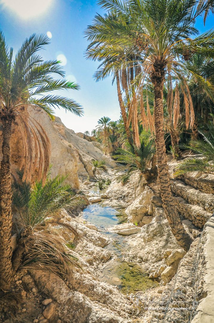 Activité, Désert, Nature, Randonnée, Sport, Tunisie