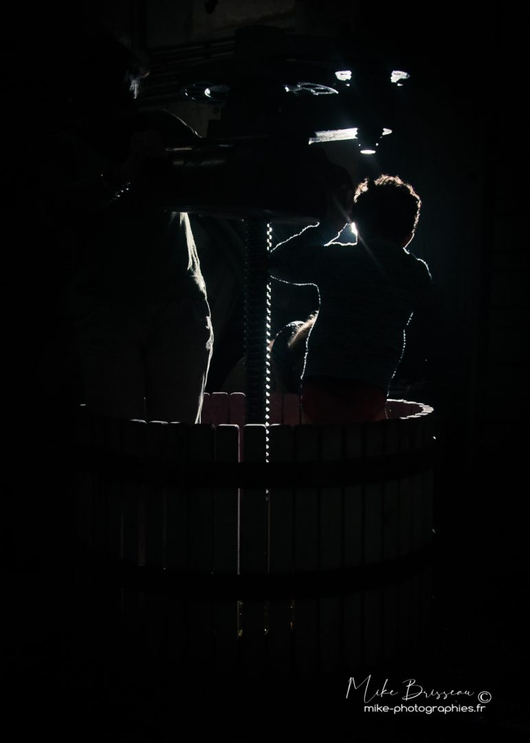 Famille, Humains, Lifestyle, Pressoir, Savoie, Vendanges, Vigne, personne, style de vie