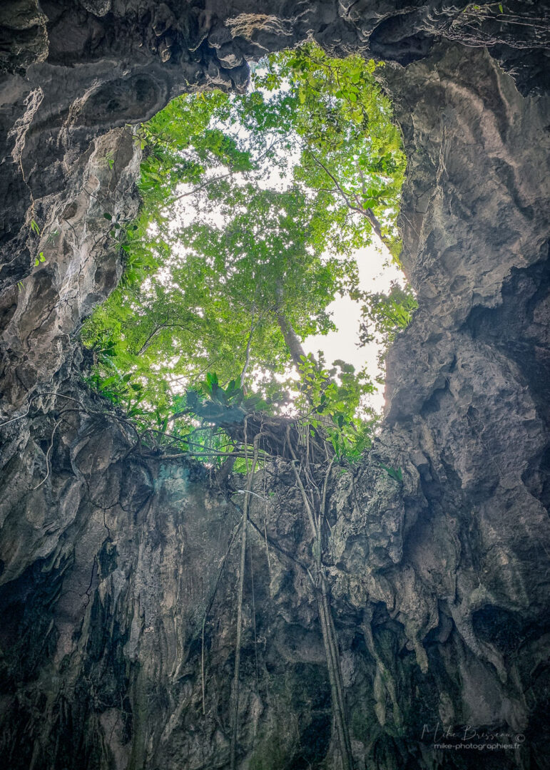 Los Haïtises, Nature, République Dominicaine