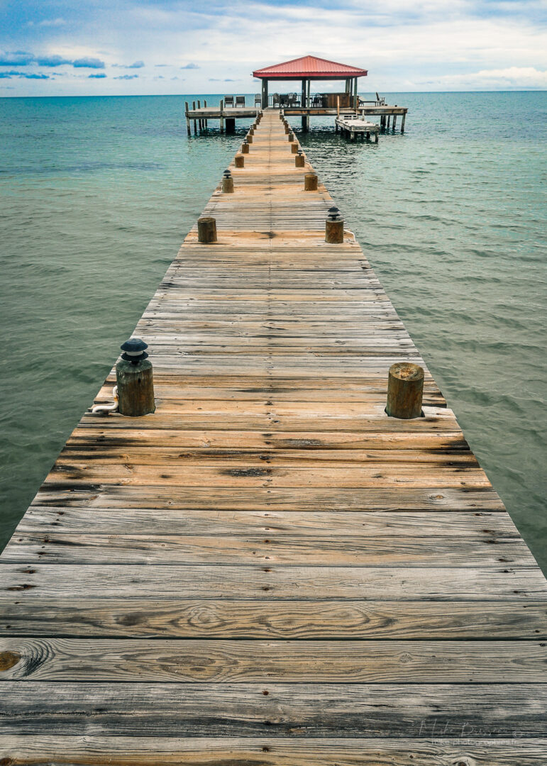 Belize, Lodge, Mike, Nicaragua, Paysages, flore, landscape, vue
