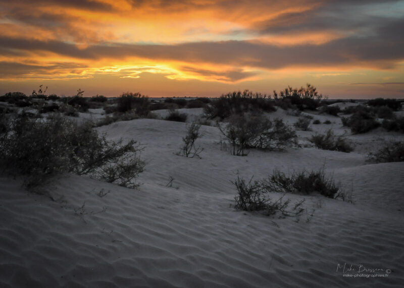 Couché de soleil, Désert, Tunisie