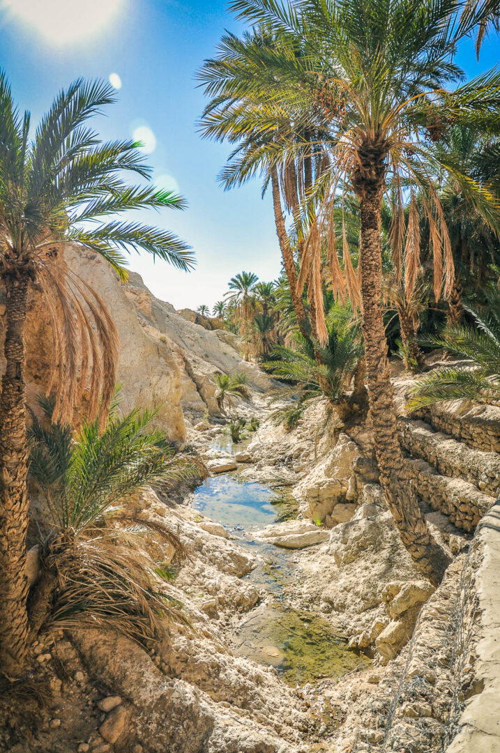 Activité, Désert, Nature, Randonnée, Sport, Tunisie