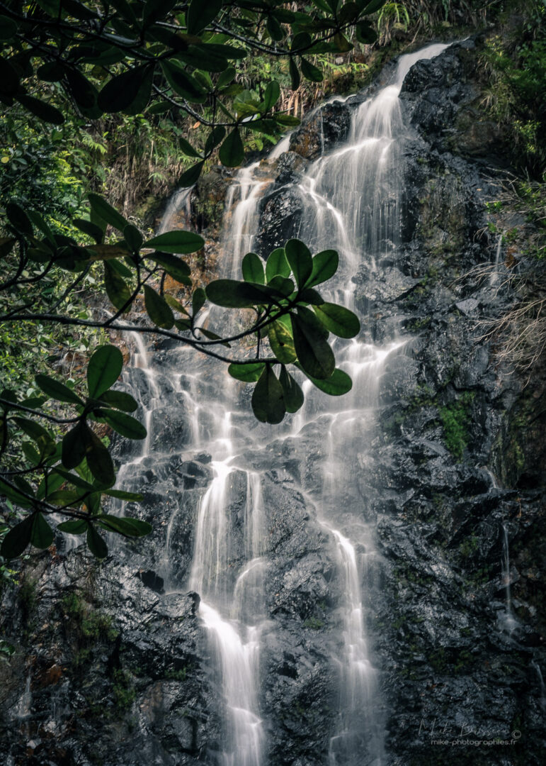 Activité, Belize, Cascade, Chute d'eau, Nature, Randonnée, Sport