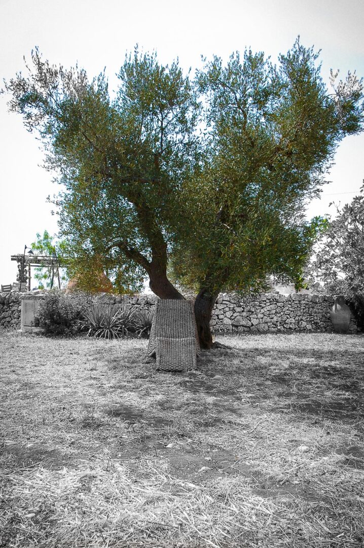 Humains, Italie, Les Pouilles, Lifestyle, personne, style de vie
