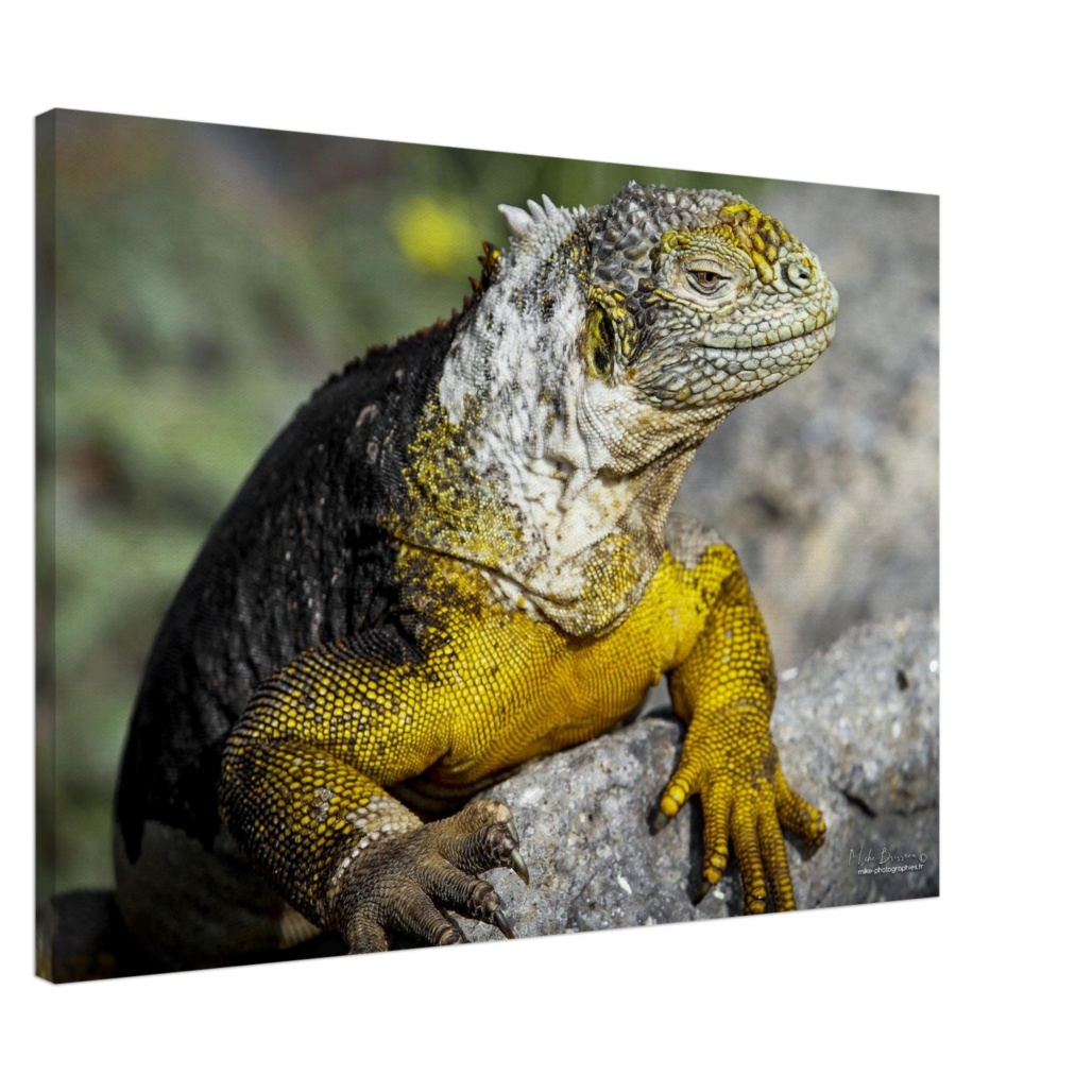 b17249eb-7cd7-4bd1-9ea4-c7824613fa65